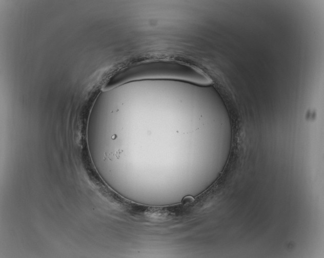 X0000111250693200907091424