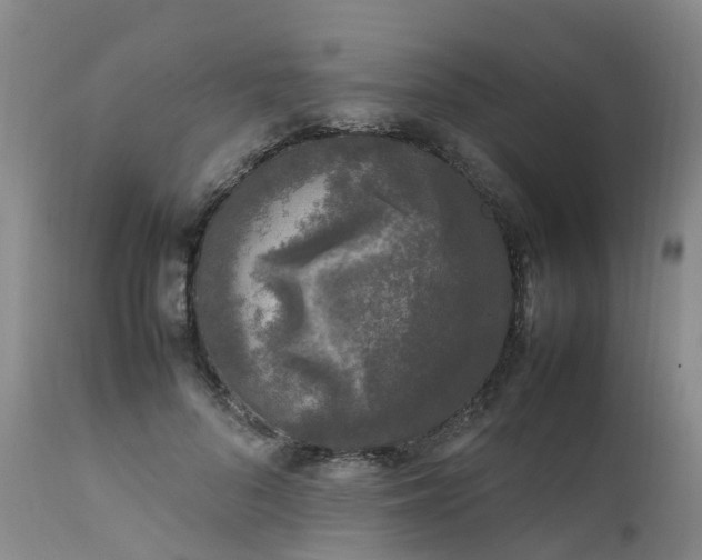 X0000111250696200907091424