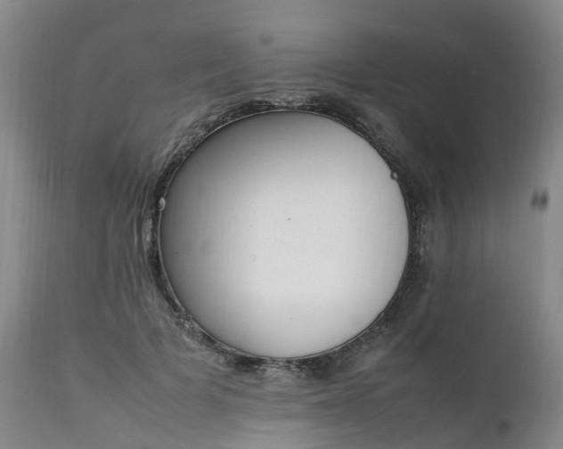 X0000111250697200907091424