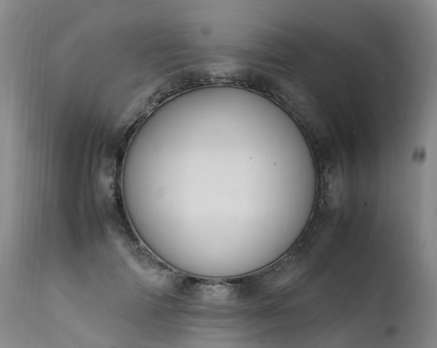 X0000111250698200907091424