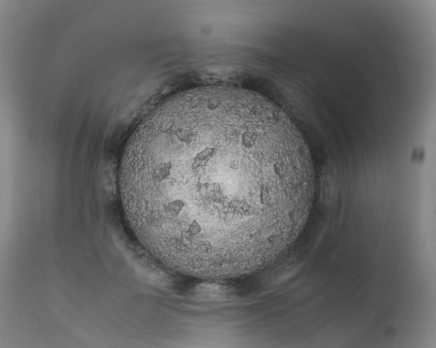 X0000111250699200907091424