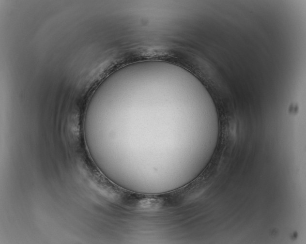 X0000111250700200907091424