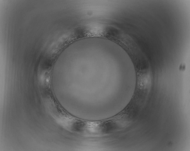 X0000111250701200907091424