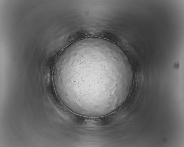 X0000111250703200907091424