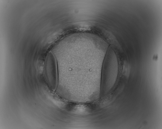 X0000111250704200907091424