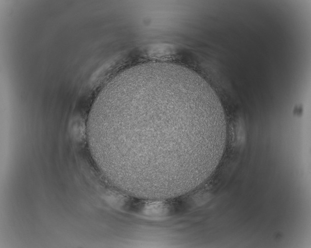 X0000111250705200907091424