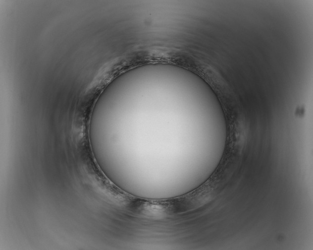 X0000111250706200907091424