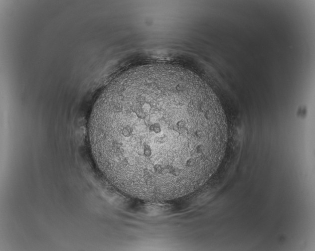 X0000111250707200907091424