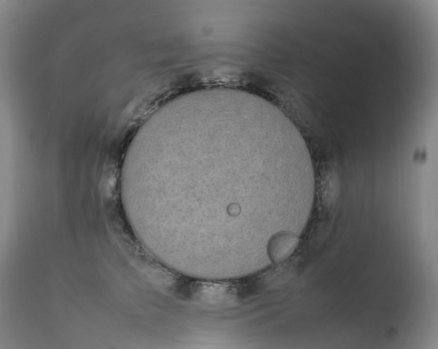 X0000111250709200907091424