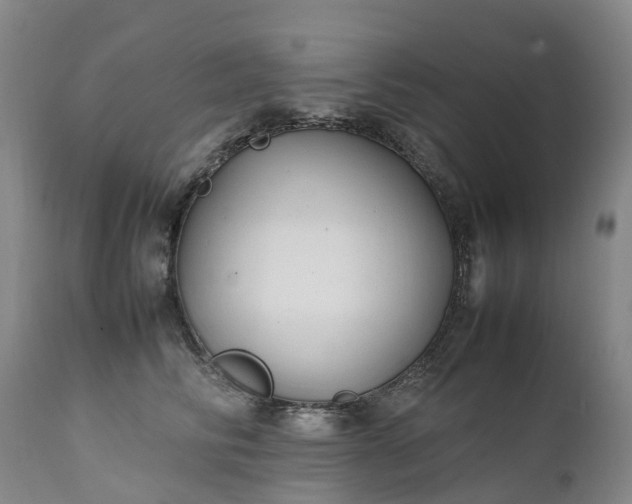 X0000111250710200907091424