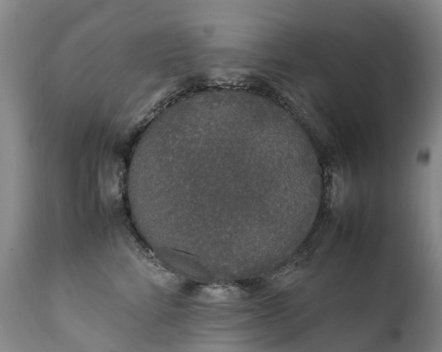 X0000111250712200907091424