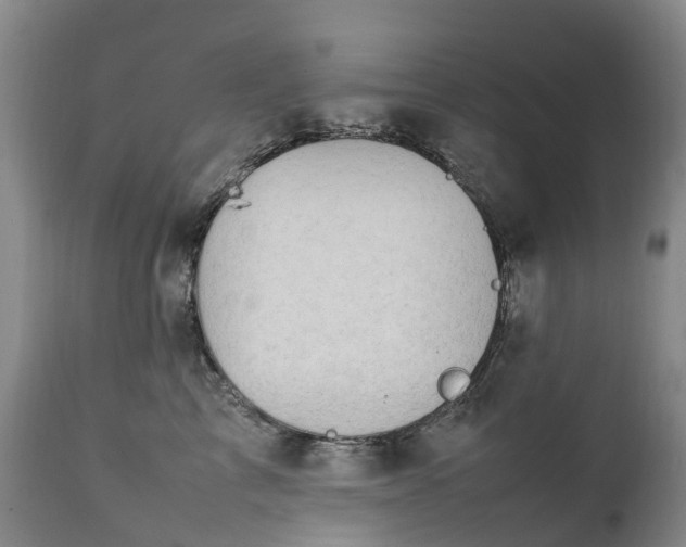 X0000111250713200907091424