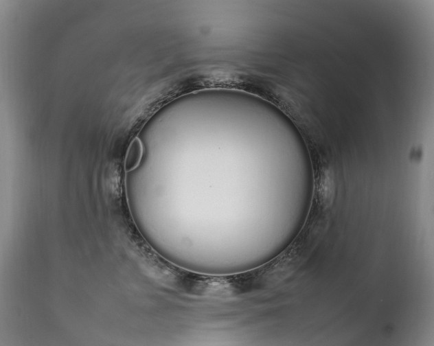 X0000111250715200907091424