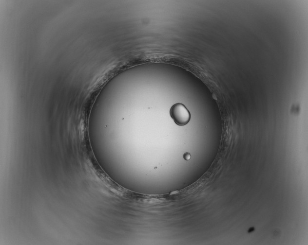 X0000111250716200907091424