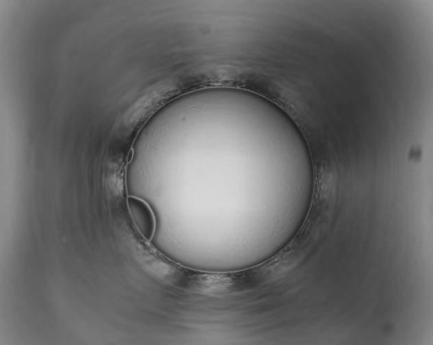 X0000111250719200907091424