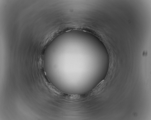 X0000111250720200907091424