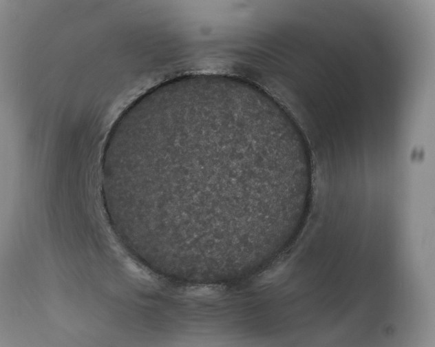 X0000111250721200907091423