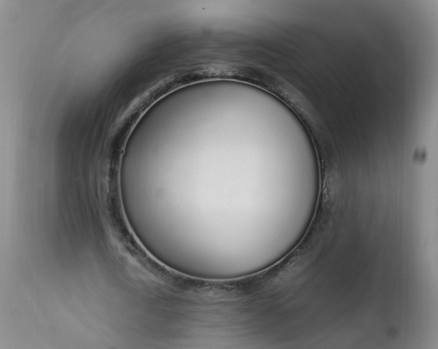 X0000111250722200907091423