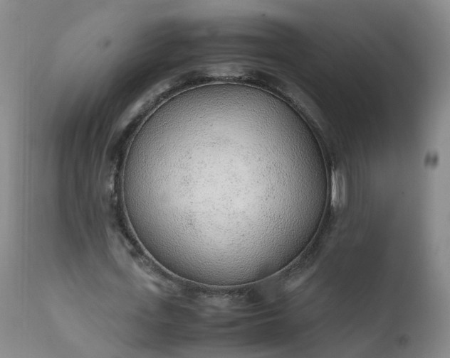 X0000111250723200907091423