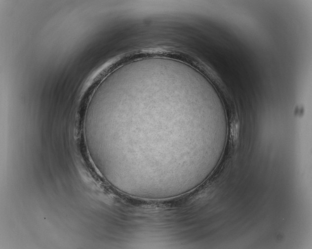 X0000111250724200907091423