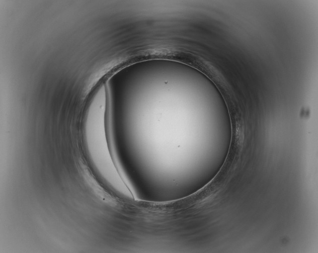 X0000111250725200907091423