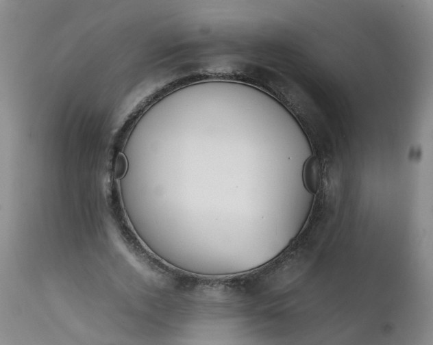 X0000111250728200907091423