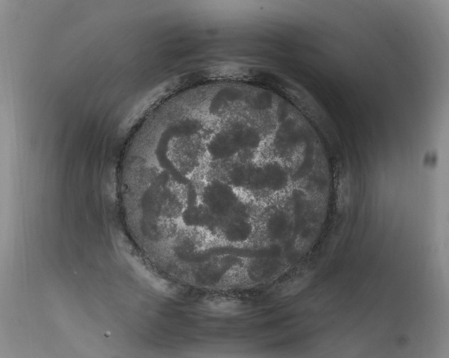 X0000111250729200907091423