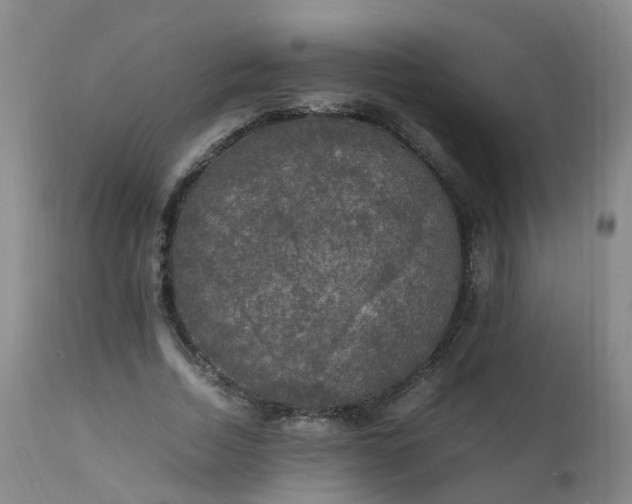 X0000111250730200907091423