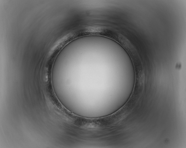 X0000111250731200907091423