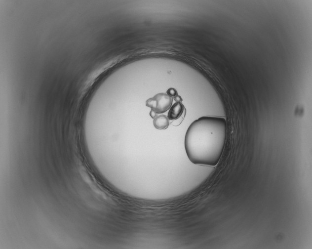 X0000111250732200907091423