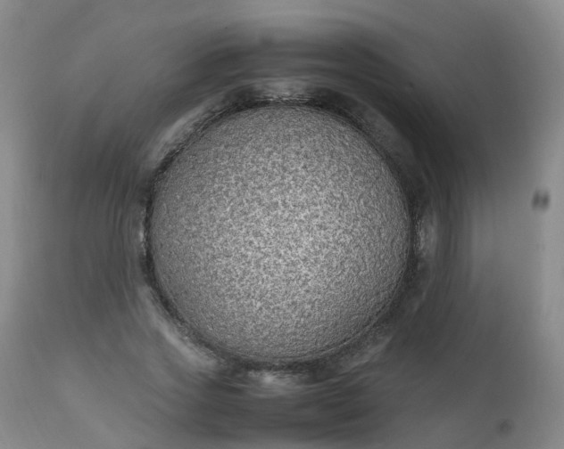 X0000111250733200907091423