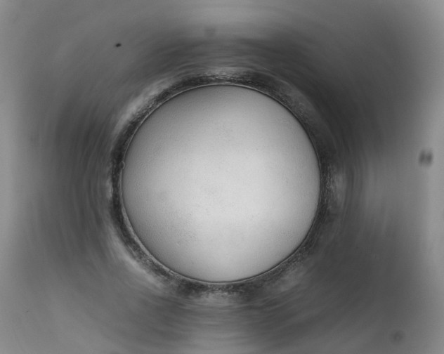 X0000111250734200907091423