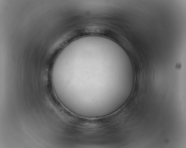 X0000111250735200907091423