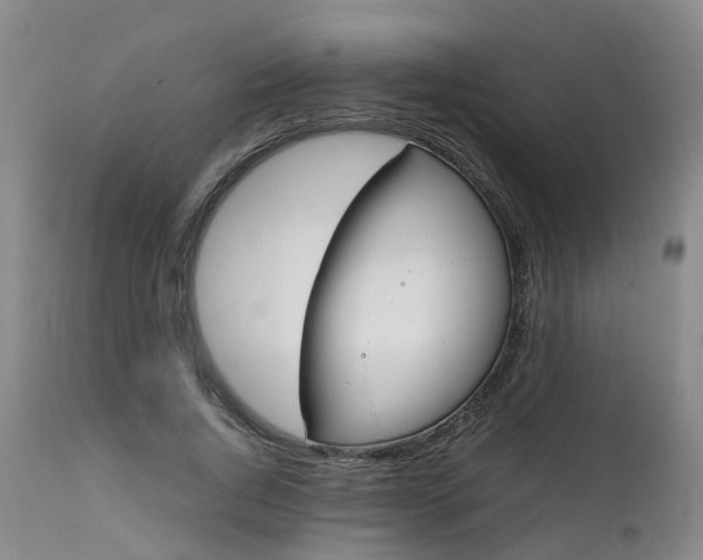 X0000111250736200907091423