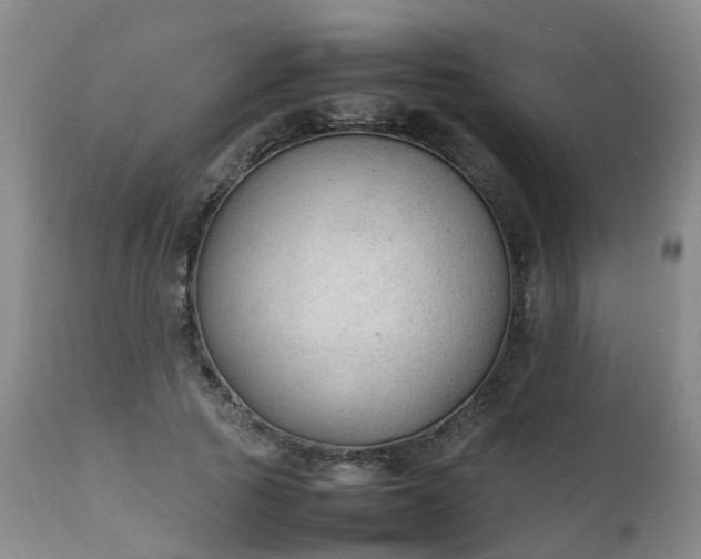 X0000111250737200907091423