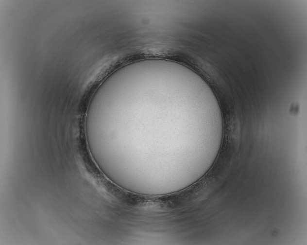 X0000111250738200907091423