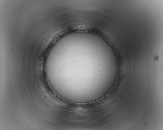 X0000111250739200907091423