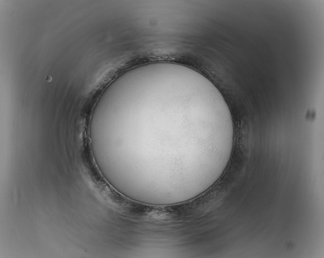 X0000111250742200907091423