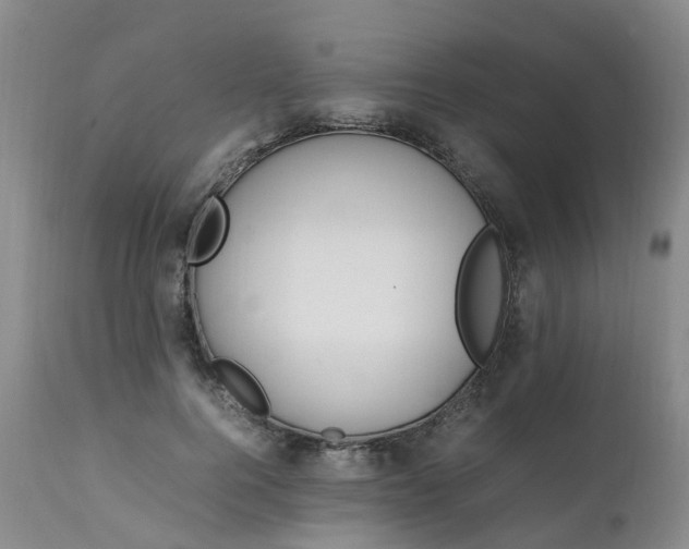 X0000111250744200907091423