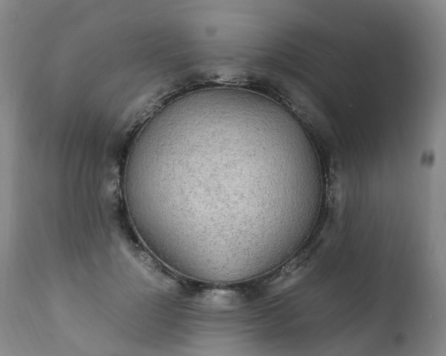 X0000111250748200907091423