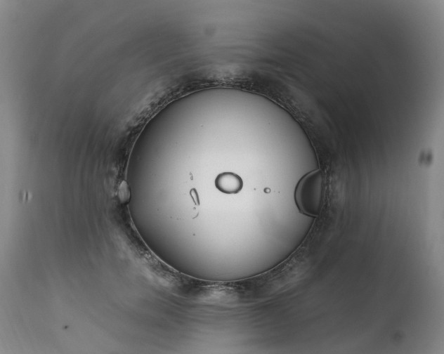 X0000111250750200907091423