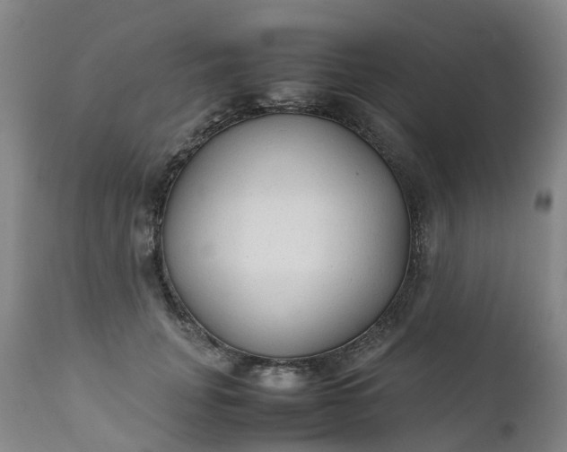 X0000111250751200907091423