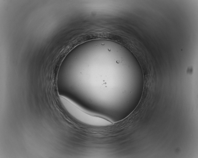 X0000111250752200907091423