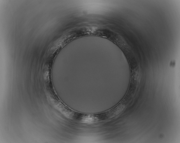 X0000111250754200907091423