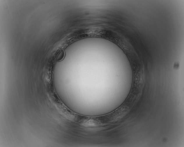 X0000111250755200907091423