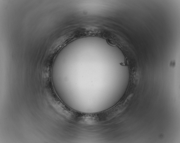 X0000111250756200907091423