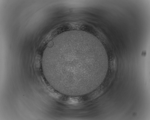 X0000111250757200907091423