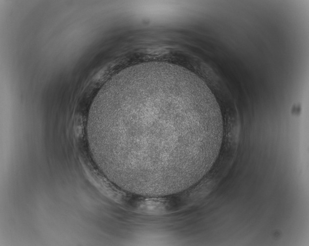 X0000111250758200907091423