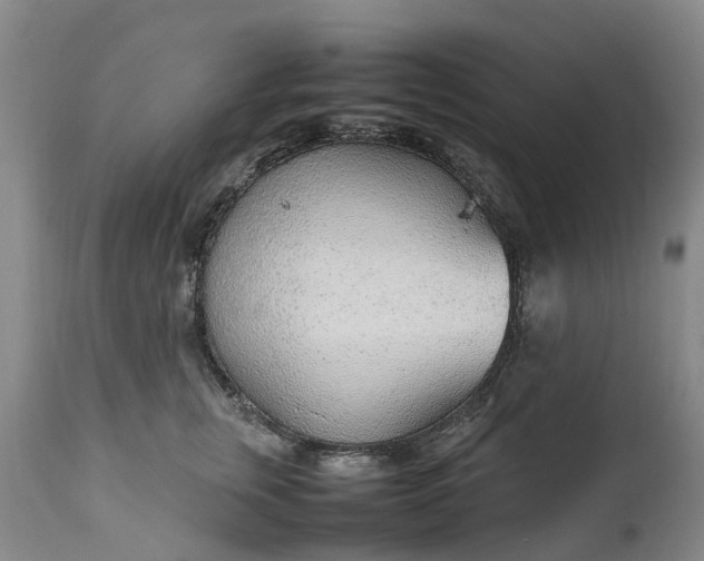 X0000111250759200907091423