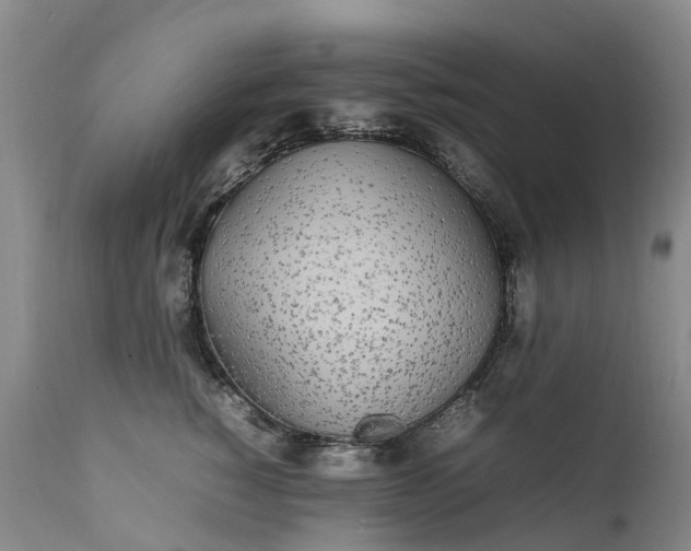 X0000111250760200907091423